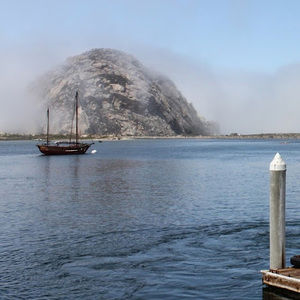 Meet your Posher, Kassie